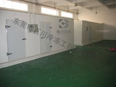 實驗行業冷庫BC-016